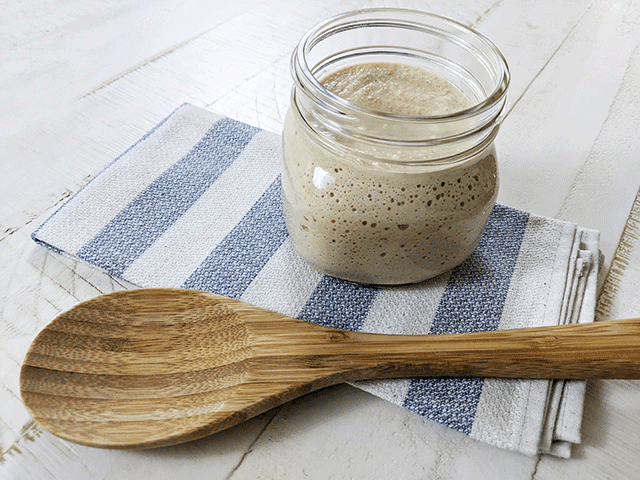 Levain vs Starter