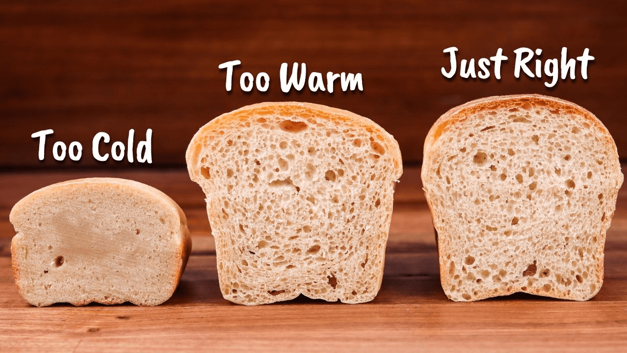 Why Baking Bread Temperature Matters? Best Guide 2023 - Thebakedbread